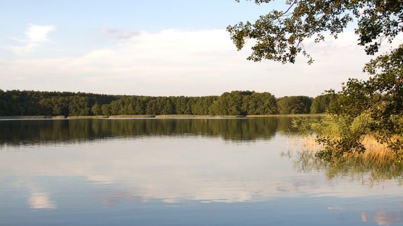 csm_bild-havel-flussfahrt_ba45dc6f85